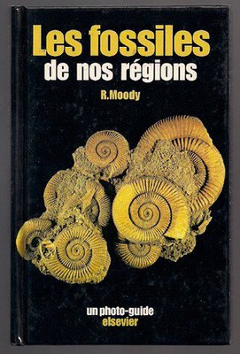 Les fossiles de nos regions